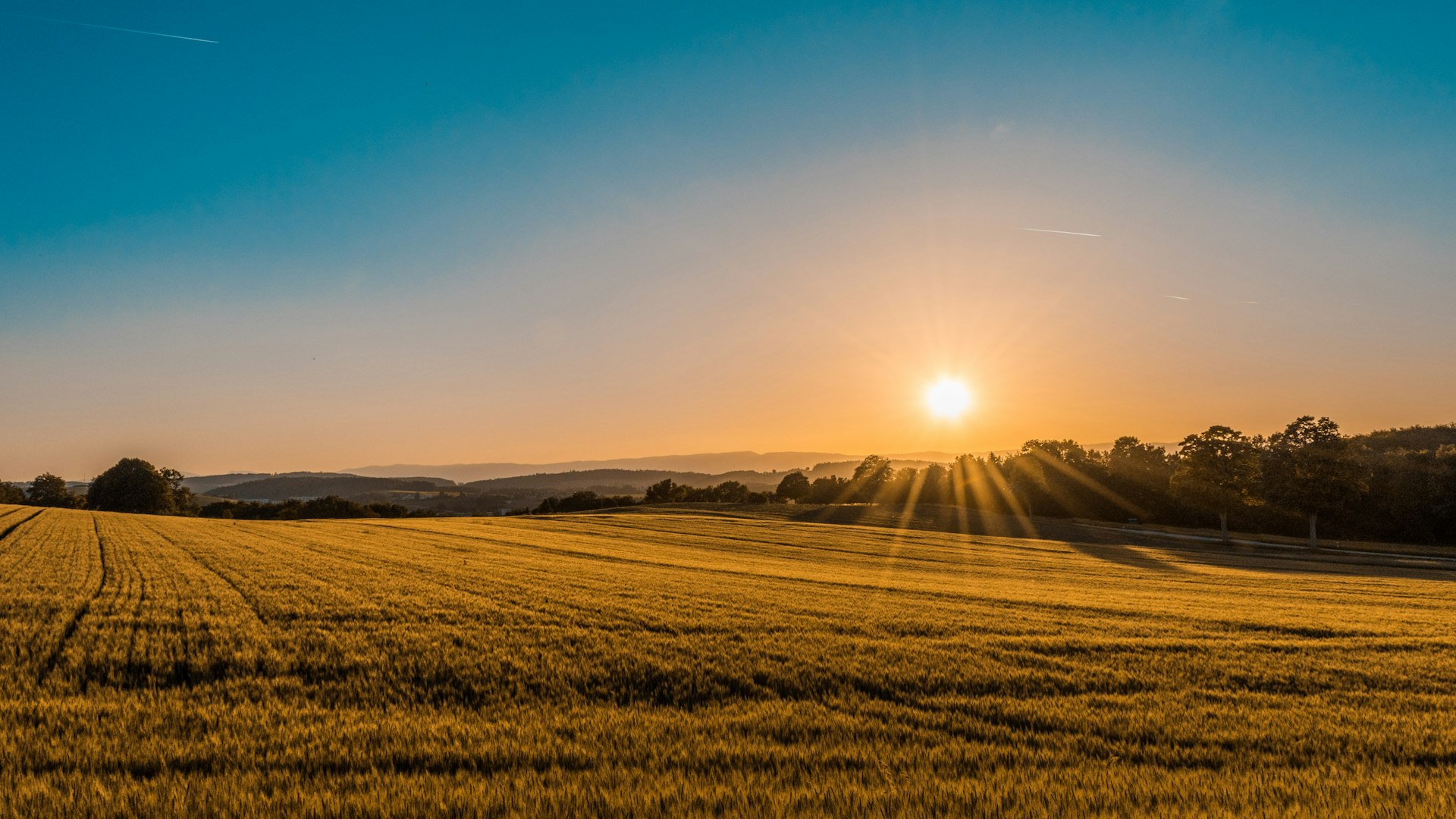 Aerial view of farm field at golden hour