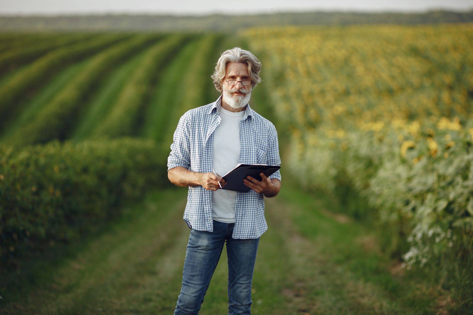 Farmer using tablet in crop field
