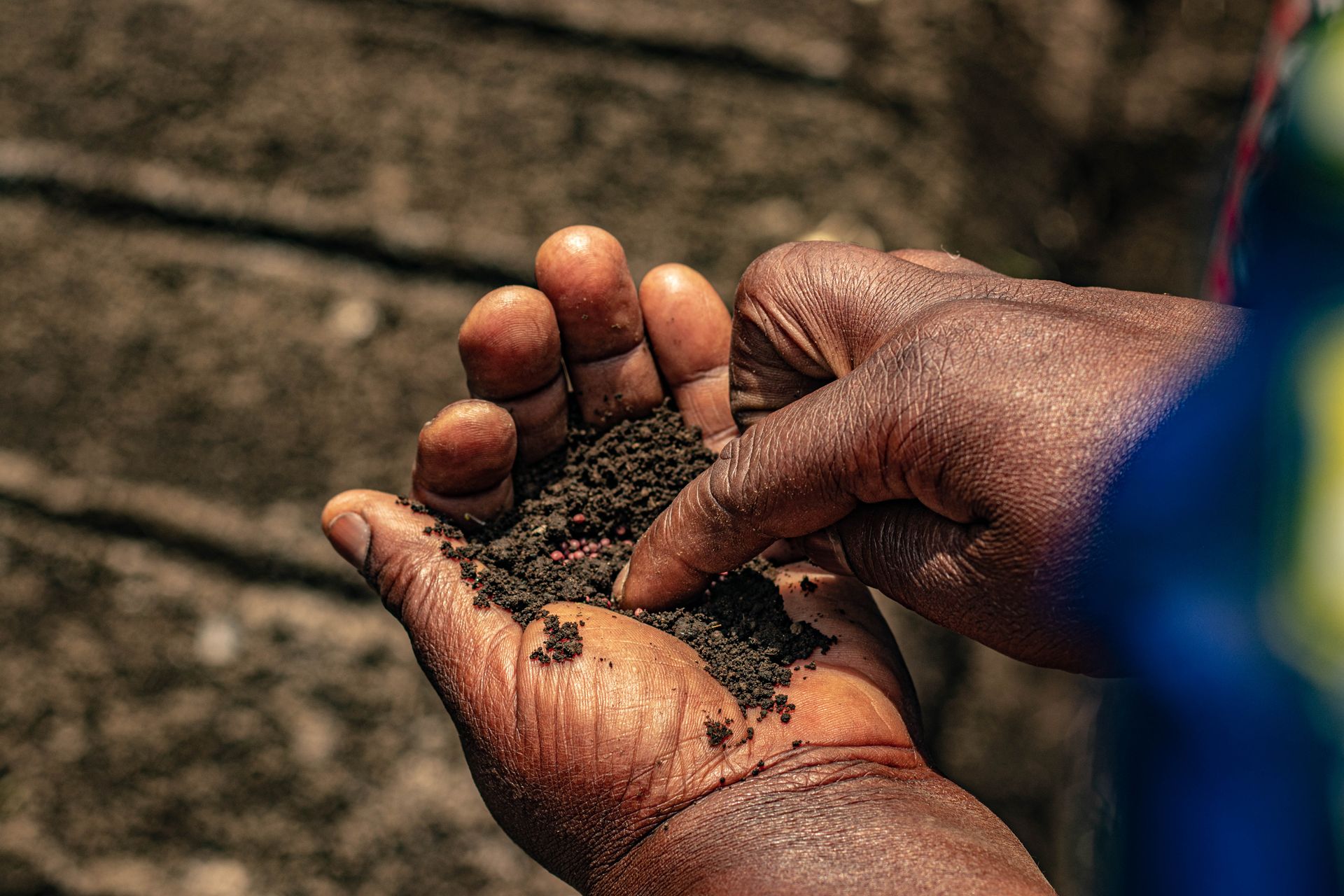 Hands holding soil sample in field